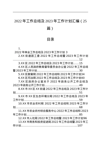 2022年工作总结及2023年工作计划汇编（25篇）.docx
