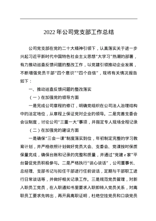 2022年公司党支部工作总结.docx