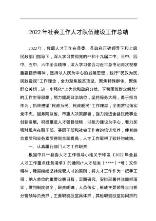 2022年社会工作人才队伍建设工作总结.docx