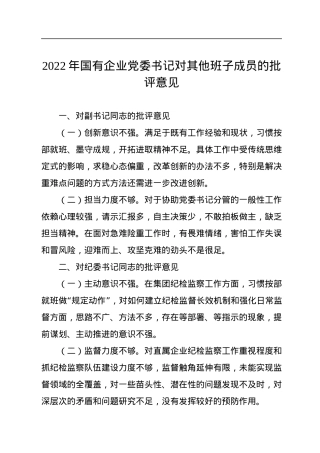 2022年国有企业党委书记对其他班子成员的批评意见.docx