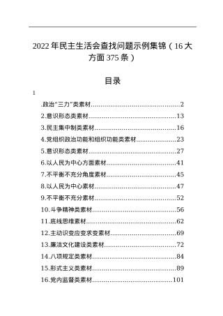2022年民主生活会查找问题示例集锦（16大方面375条）.docx