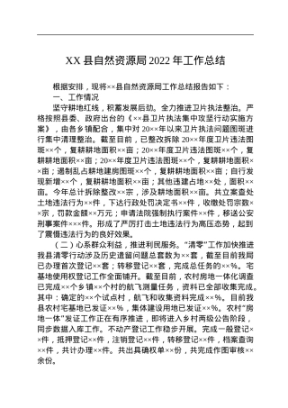 XX县自然资源局2022年工作总结.docx