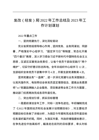 发改（经发）局2022年工作总结及2023年工作计划谋划.docx