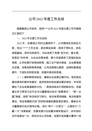 公司2022年度工作总结.docx