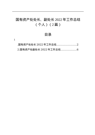 国有资产处处长、副处长2022年工作总结汇编（2篇）.docx