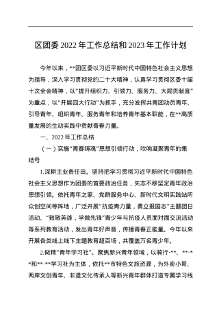 区团委2022年工作总结和2023年工作计划.docx