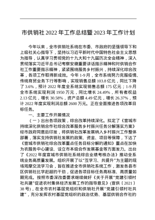 市供销社2022年工作总结暨2023年工作计划(20221102).docx