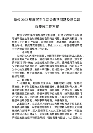 单位2022年度民主生活会查摆问题及意见建议整改工作方案.docx