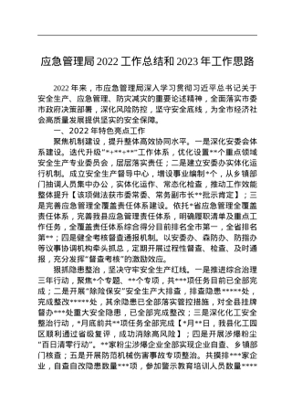 应急管理局2022工作总结和2023年工作思路.docx