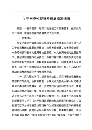 关于市委巡视整改进展情况通报.docx