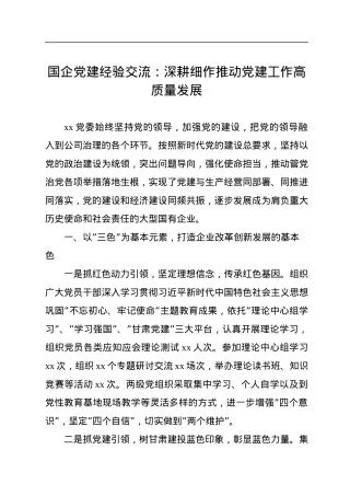 国企党建经验交流：深耕细作推动党建工作高质量发展.docx