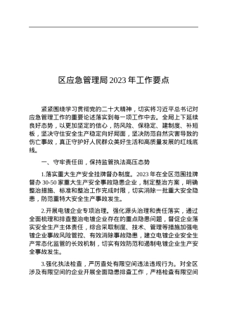 区应急管理局2023年工作要点.docx