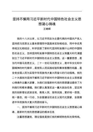 王晓晖：坚持不懈用习近平新时代中国特色社会主义思想凝心铸魂.docx