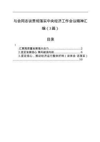 与会同志谈贯彻落实中央经济工作会议精神汇编（3篇）.docx