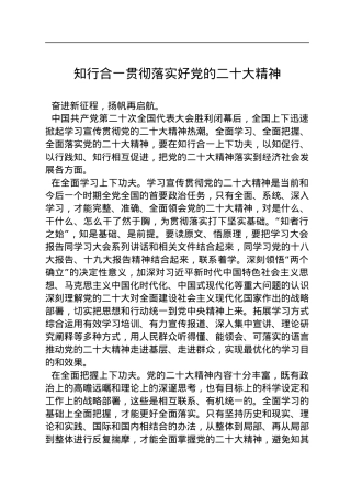 知行合一贯彻落实好党的二十大精神（20221202）.docx
