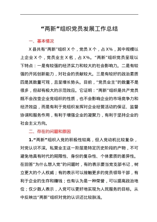 “两新”组织党员发展工作总结.docx
