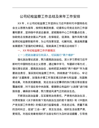 XX年公司纪检监察工作总结及XX年工作安排.Doc