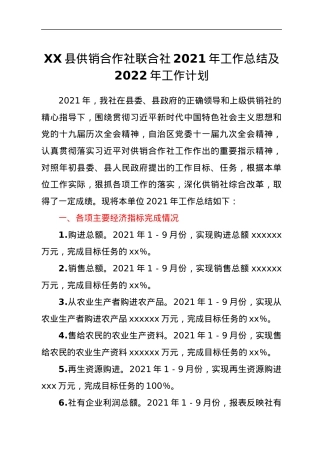 XX县供销合作社联合社2021年工作总结及2022年工作计划.docx