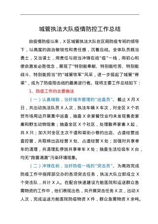 城管执法大队疫情防控工作总结.docx