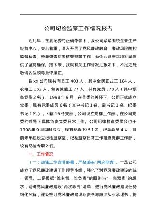 公司纪检监察工作情况总结.docx