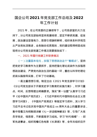 国企公司2021年党支部工作总结及2022年工作计划.docx