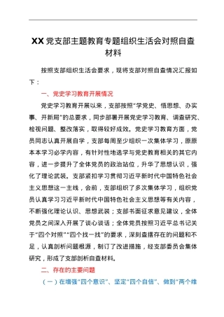 XX党支部主题教育专题组织生活会对照自查材料.doc
