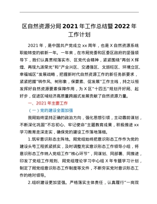 区自然资源分局2021年工作总结暨2022年工作计划.Doc