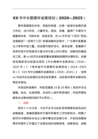 XX市中长期青年发展规划（2020—2025）.doc