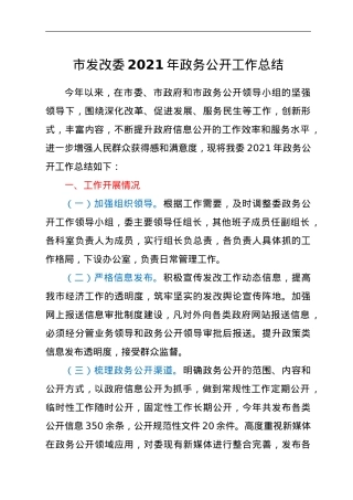 市发改委2021年政务公开工作总结.doc