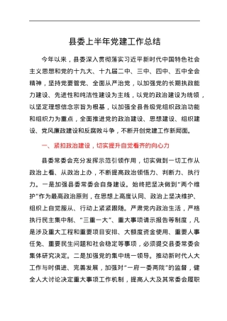 县委上半年党建工作总结.docx