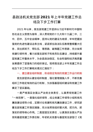县政法机关党支部2021年上半年党建工作总结及下步工作打算.docx