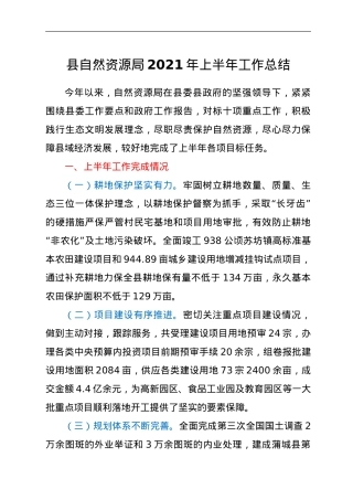 县自然资源局 2021年上半年工作总结.doc