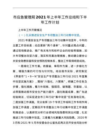 应急管理系统2021年上半年工作总结和下半年工作计划.doc