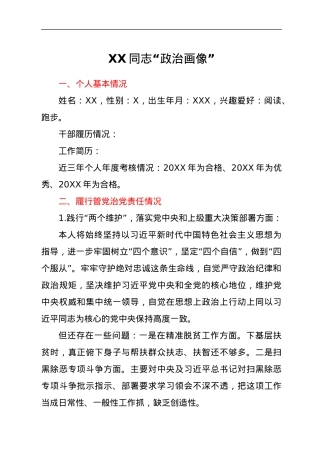 个人政治画像剖析.docx