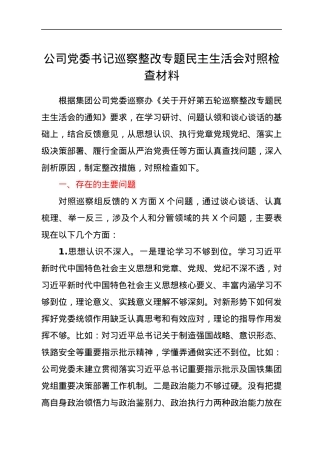 公司党委书记巡察整改专题民主生活会对照检查材料.docx