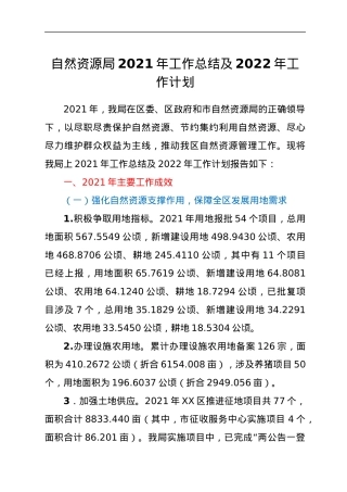 自然资源局2021年工作总结及2022年工作计划.docx
