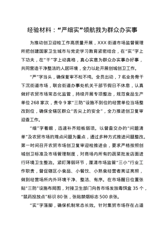 经验材料：“严细实”领航  我为群众办实事.docx