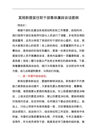 局新提拔任职干部集体廉政谈话提纲.docx