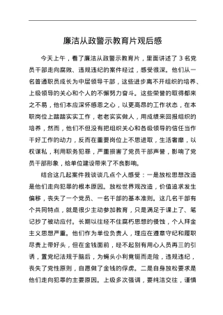 廉洁从政警示教育片观后感.docx
