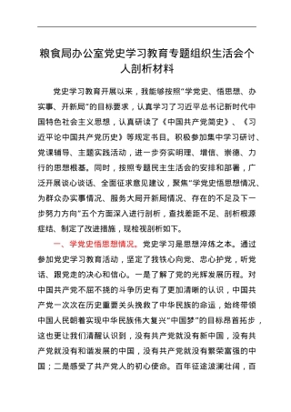 粮食局办公室党史学习教育专题组织生活会个人剖析材料.docx