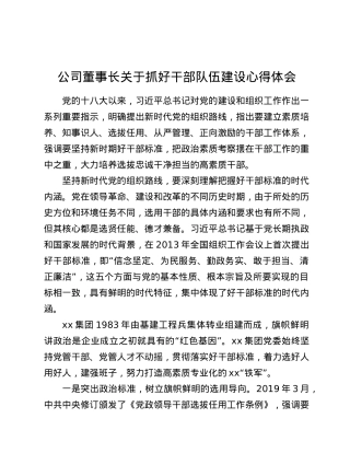 公司董事长关于抓好干部队伍建设心得体会.doc