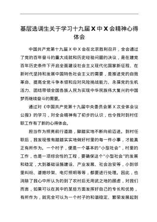 基层选调生关于学习十九届六中全会精神心得体会.doc