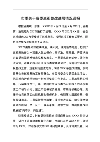 市委关于省委巡视整改进展情况通报.docx