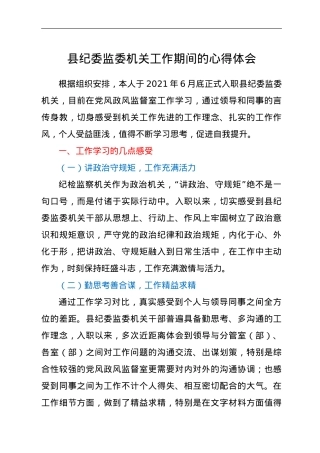 县纪委监委机关工作期间的心得体会.doc