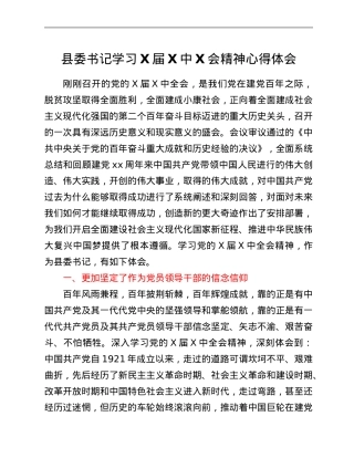 县委书记学习X届六中全会精神心得体会.Doc