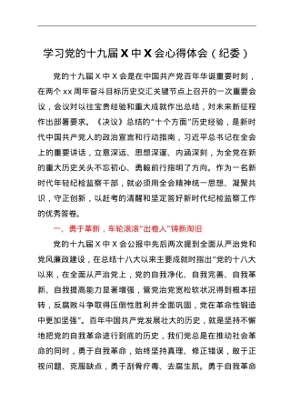 学习党的十九届六中全会心得体会（纪委）.doc
