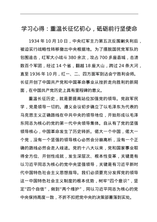 学习心得：重温长征忆初心，砥砺前行坚使命.doc