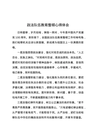 政法队伍教育整顿心得体会.docx