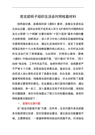 党支部班子组织生活会对照检查材料.doc