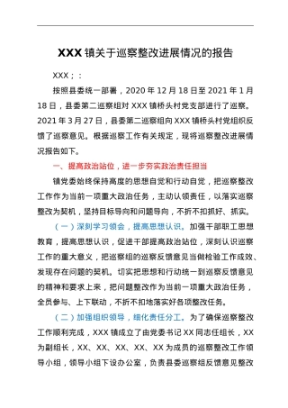 XXX镇关于巡察整改进展情况的报告.doc